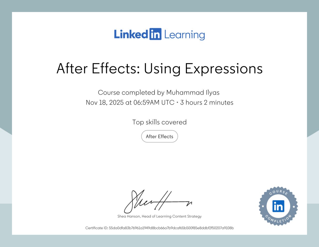 After Effects: Using Expressions Certificate